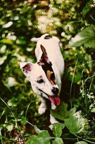 Cover of Jack Russell Puppy Lovers Journal