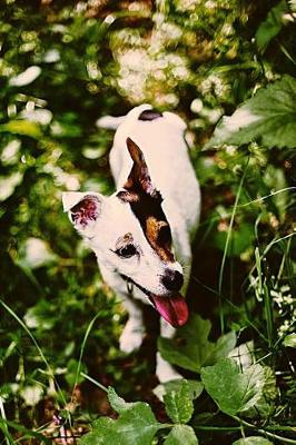 Book cover for Jack Russell Puppy Lovers Journal