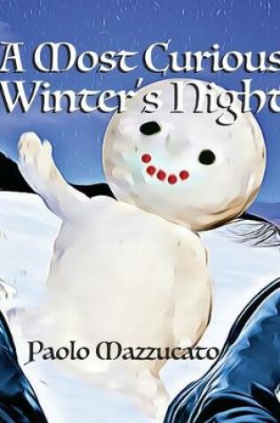 Cover of A Most Curious Winter's Night