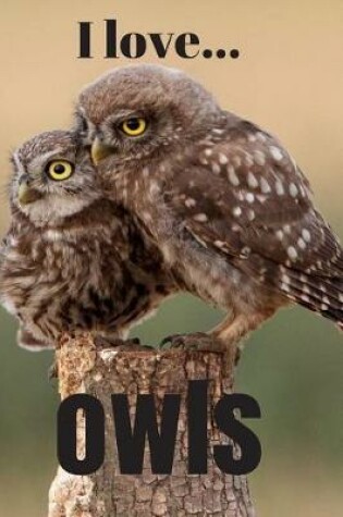 Cover of I Love Owls
