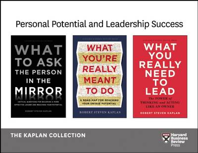 Book cover for Personal Potential and Leadership Success