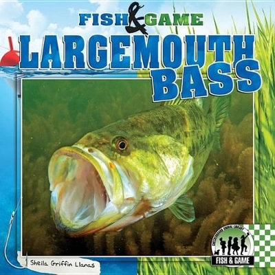 Book cover for Largemouth Bass