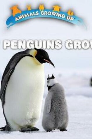 Cover of How Penguins Grow Up