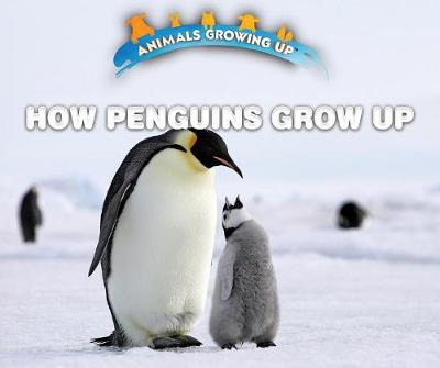 Cover of How Penguins Grow Up