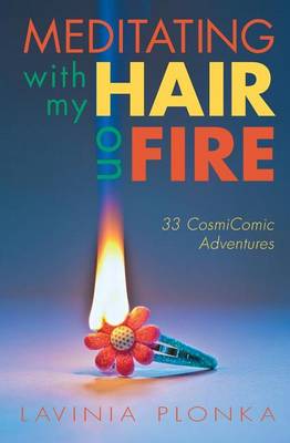 Book cover for Meditating With My Hair On Fire