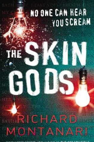 Cover of The Skin Gods