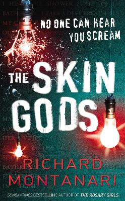 Book cover for The Skin Gods