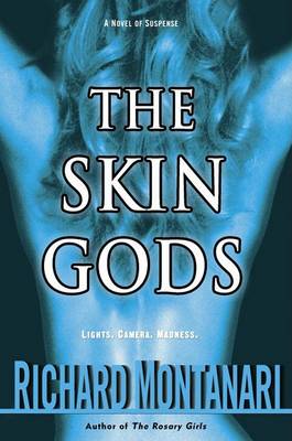 Book cover for The Skin Gods