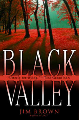 Cover of Black Valley