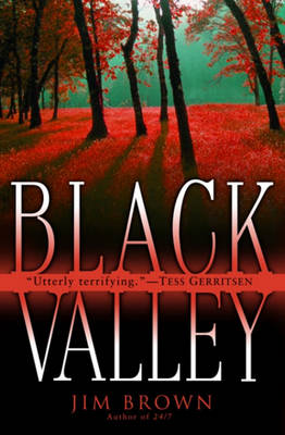 Book cover for Black Valley