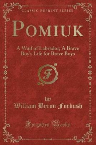 Cover of Pomiuk