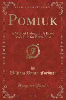 Book cover for Pomiuk