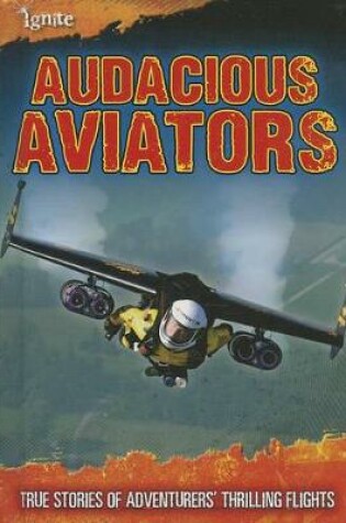 Cover of Audacious Aviators
