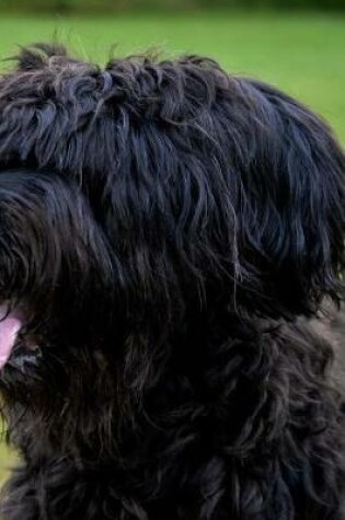 Cover of Briard Dog Breed Notebook