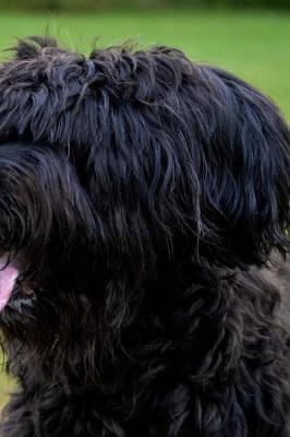 Book cover for Briard Dog Breed Notebook