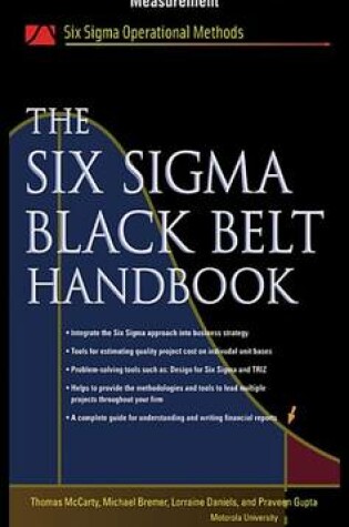 Cover of The Six SIGMA Black Belt Handbook, Chapter 19 - Financial and Performance Measurement