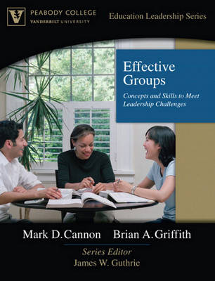 Book cover for Effective Groups