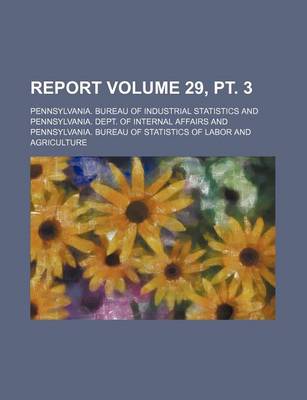 Book cover for Report Volume 29, PT. 3