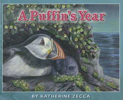 Book cover for A Puffin's Year