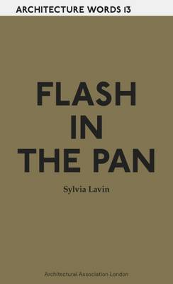 Book cover for Architecture Words 13 - Flash in the Pan