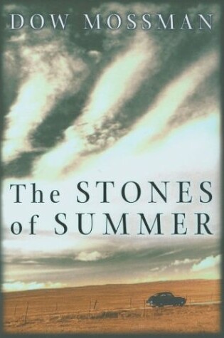 Cover of The Stones of Summer
