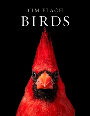 Book cover for Birds