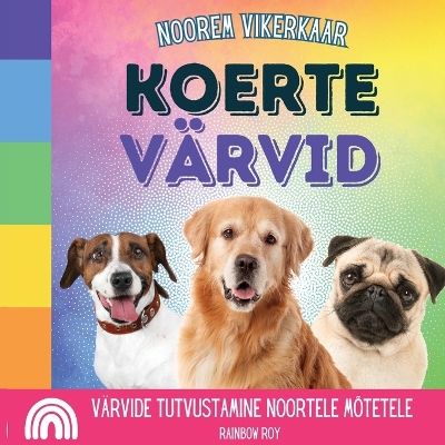 Cover of Noorem Vikerkaar, Koerte Värvid