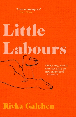 Book cover for Little Labours