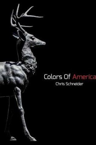 Cover of Colors Of America