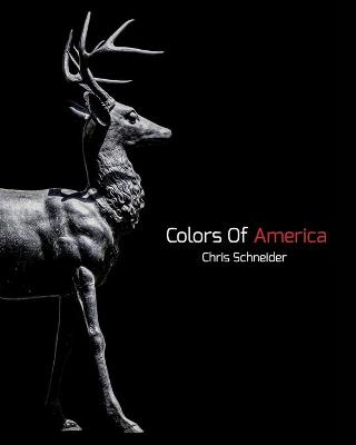 Book cover for Colors Of America