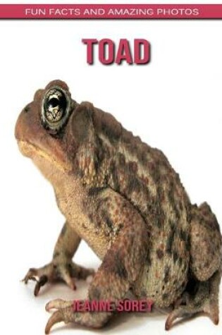 Cover of Toad