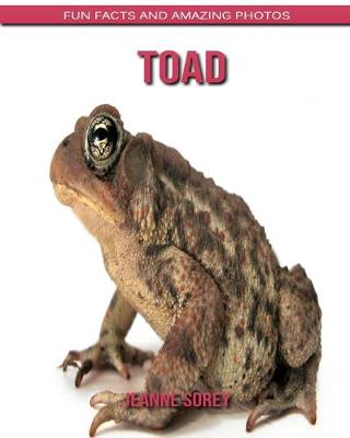 Book cover for Toad