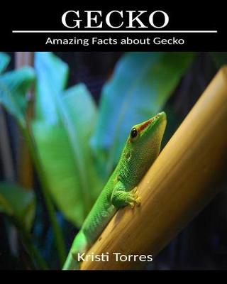 Book cover for Amazing Facts about Gecko