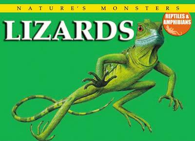 Book cover for Lizards