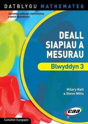 Book cover for Datblygu Mathemateg: Deall Siapiau a Mesurau Blwyddyn 3