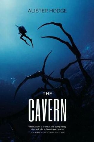 Cover of The Cavern