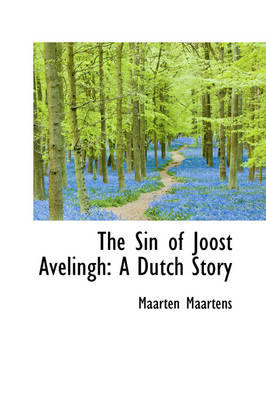 Book cover for The Sin of Joost Avelingh