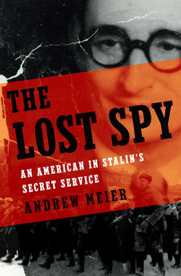 Book cover for The Lost Spy