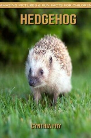 Cover of Hedgehog