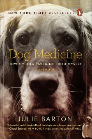 Cover of Dog Medicine: How My Dog Saved Me from Myself