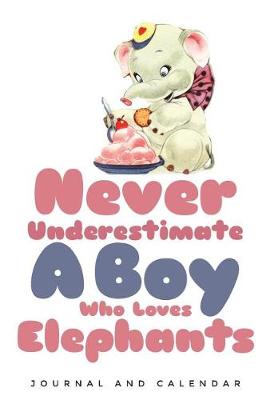 Book cover for Never Underestimate a Boy Who Loves Elephants