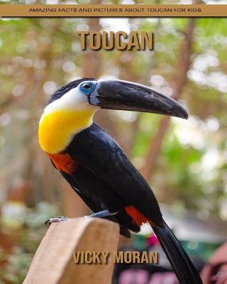 Book cover for Toucan