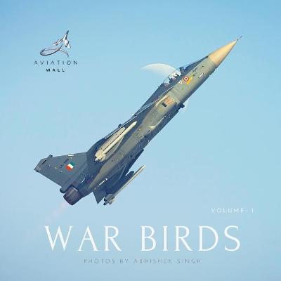 Book cover for War Birds