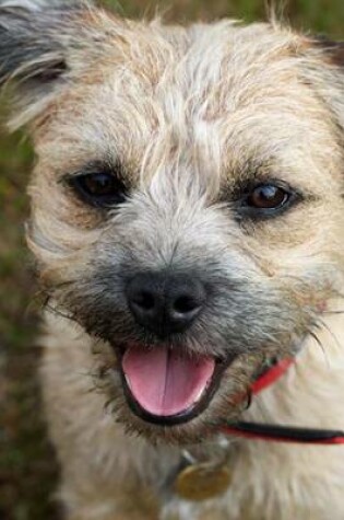 Cover of Border Terrier, for the Love of Dogs