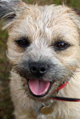 Book cover for Border Terrier, for the Love of Dogs