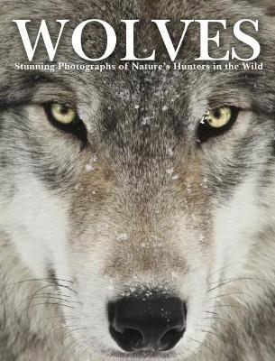 Book cover for Wolves