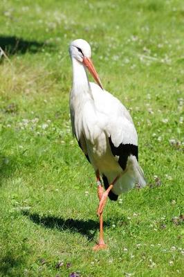 Book cover for The White Stork Journal (Ciconia Ciconia)