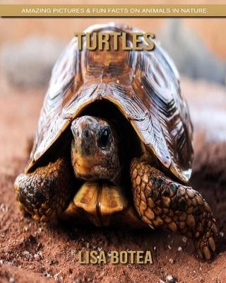 Book cover for Turtles