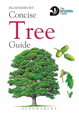 Book cover for Concise Tree Guide
