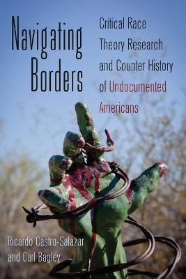 Cover of Navigating Borders